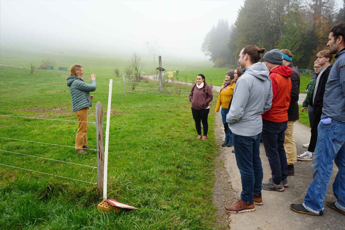 Nachhaltigkeitsaktionstag Team 2